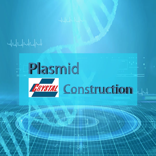 Plasmid Construction — Interpreting Plasmid Maps
