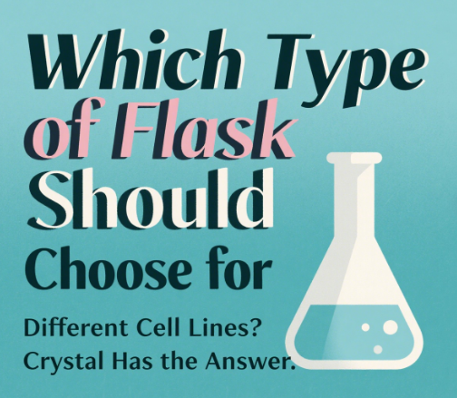 Which Type of Flask Should You Choose for Different Cell Lines? Crystal Has The Answer.